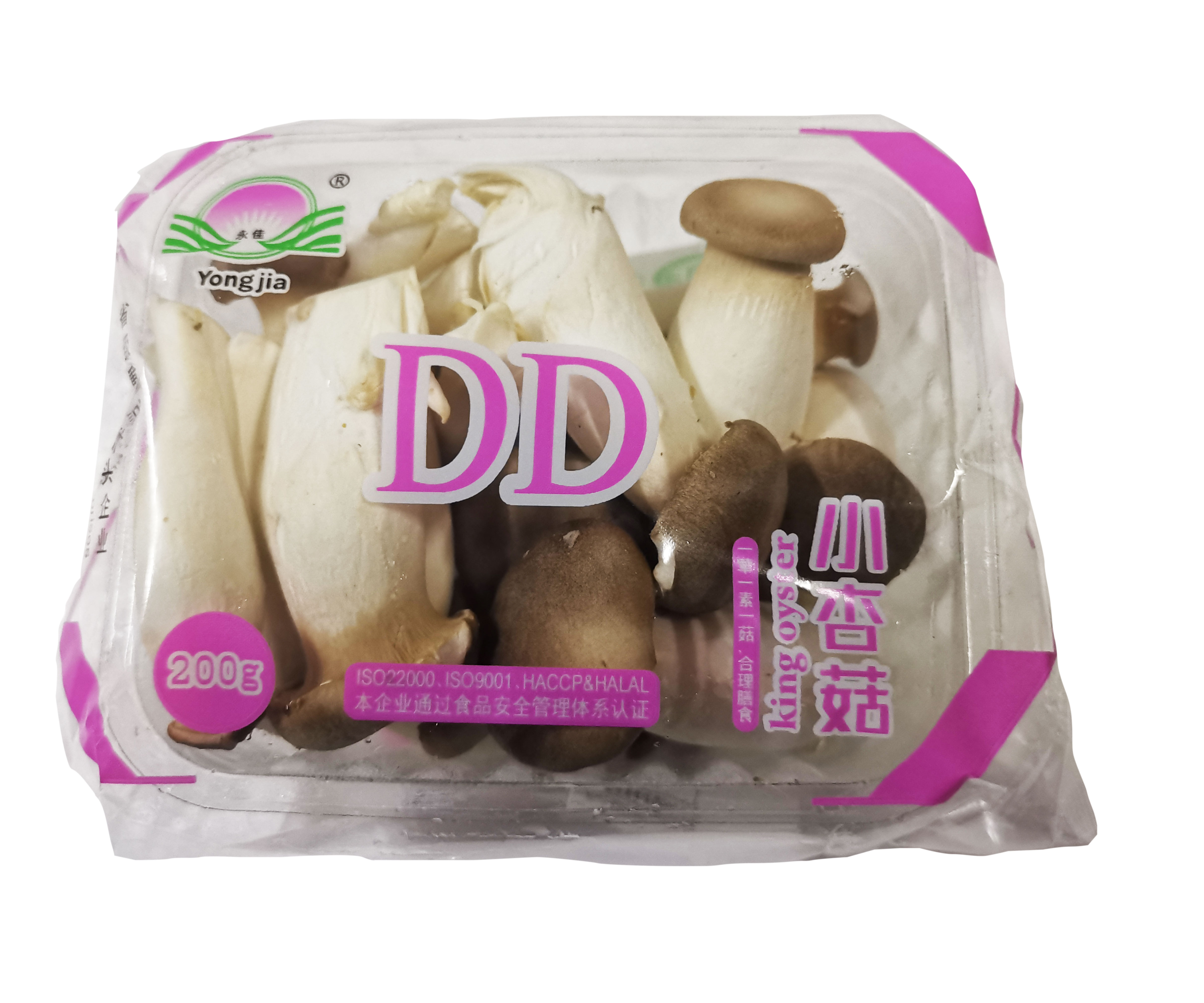 mini King Oyster Mushroom