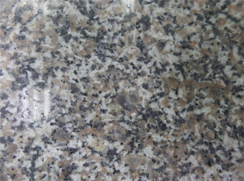 Lotus Grey Granite