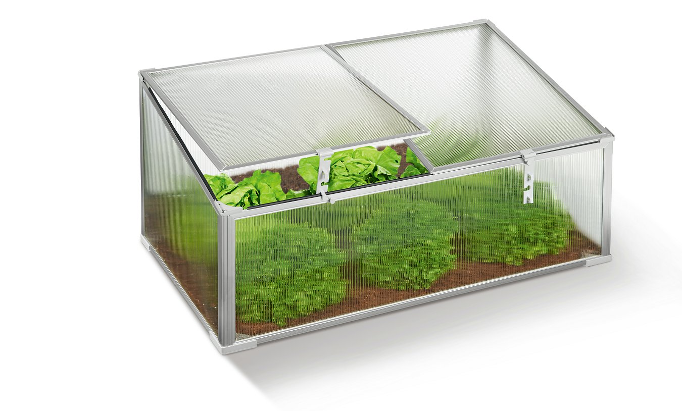 Green House