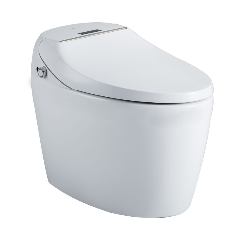 Bravat Floor Mounted One Piece Intelligent Toilet