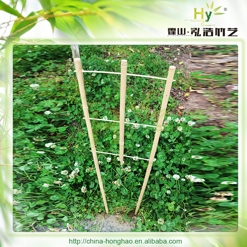 bamboo trellis for flower support