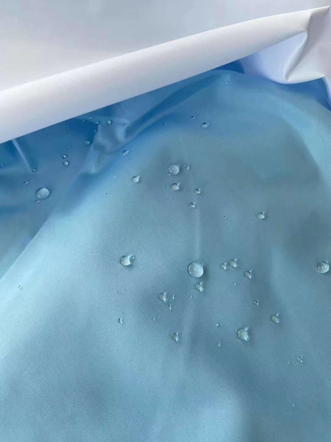 Taffeta Pa,wr