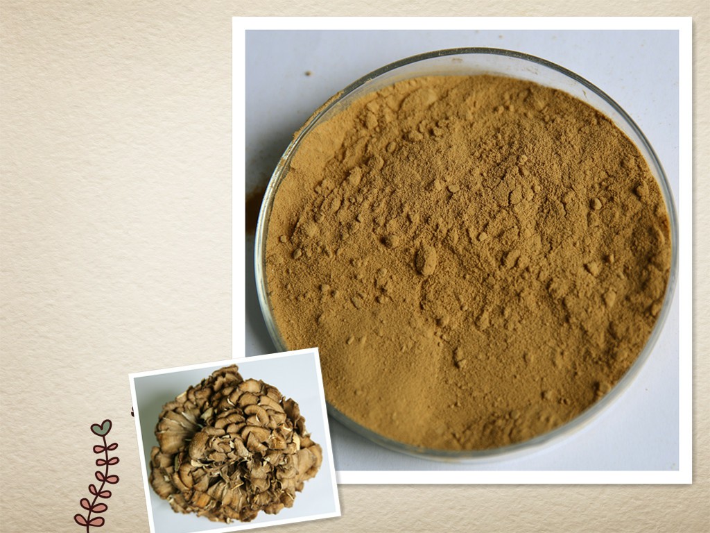 Plant Extracts