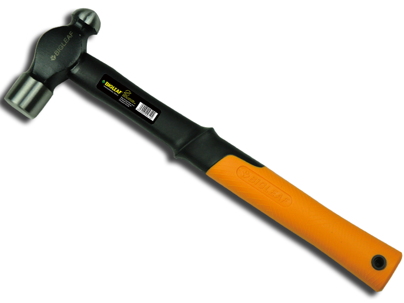 B21