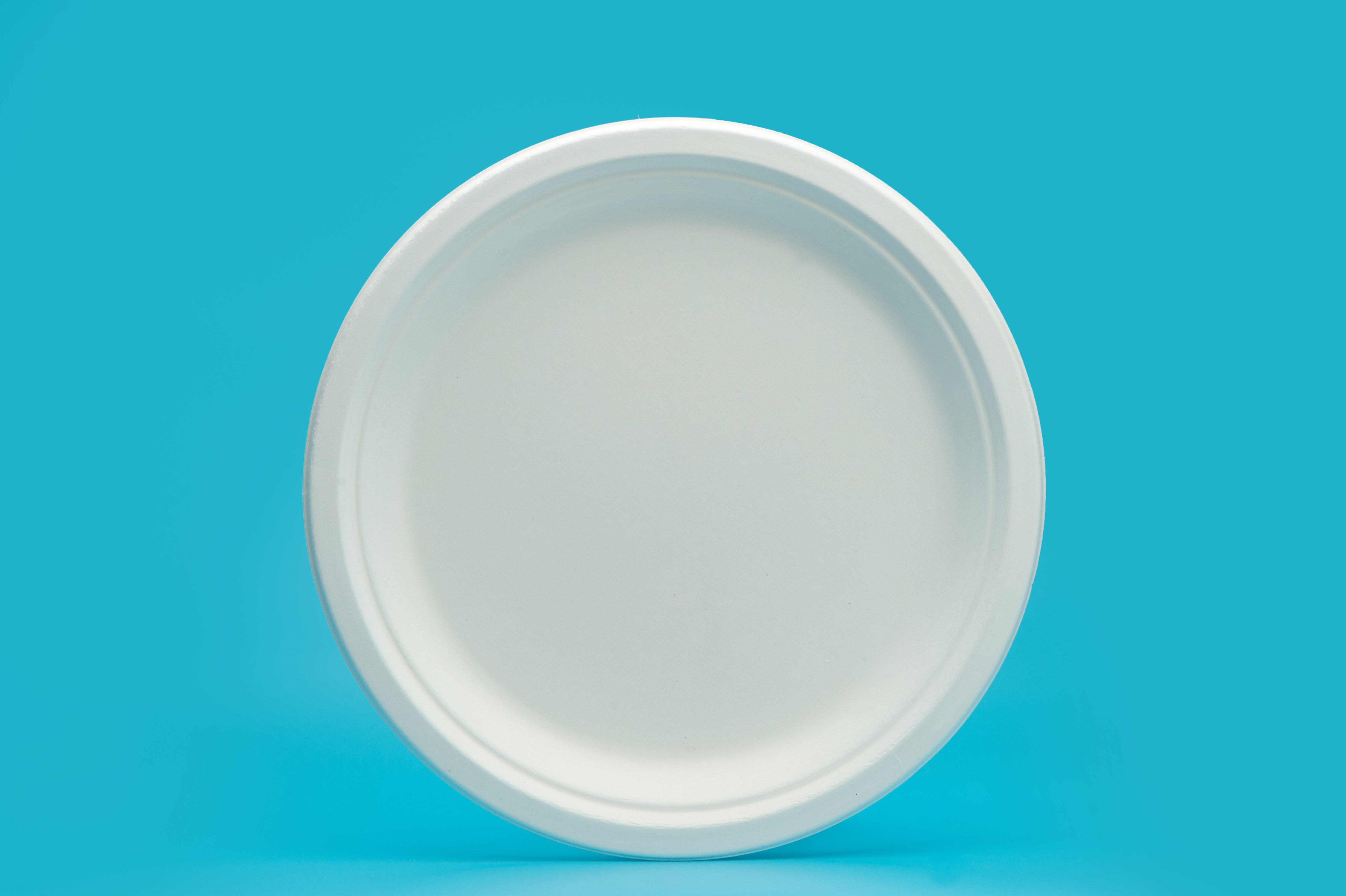 10" round plate