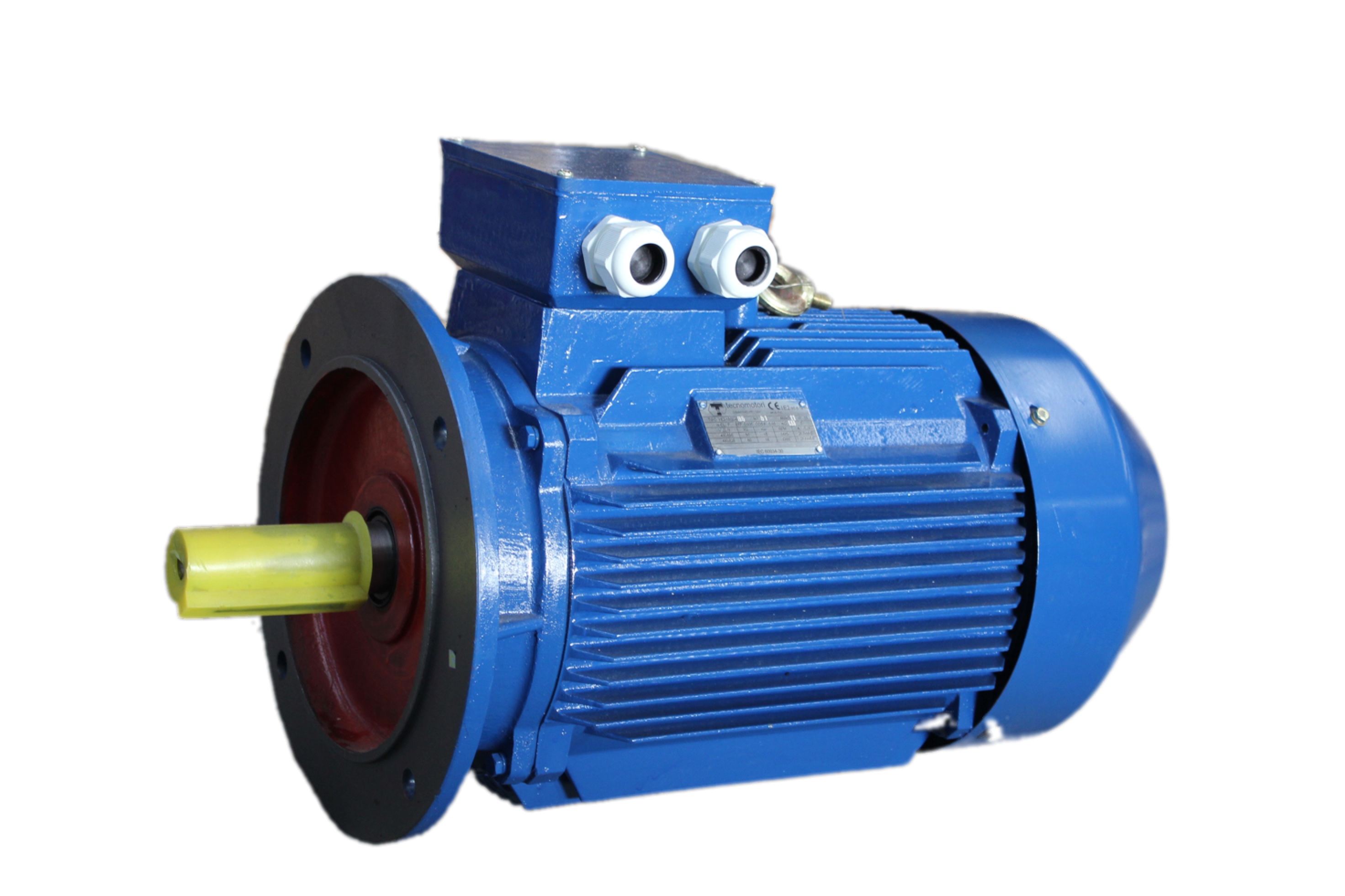 Three Phase Asynchronous Motor