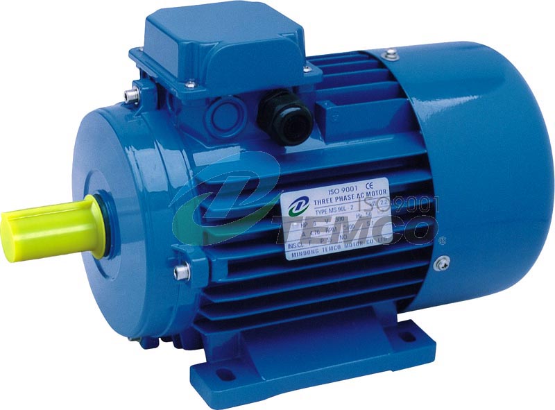 Ms Three-Phase Asynchronous Motor With Aluminum Housing