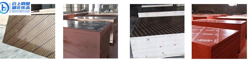 Jingmen Deya Timber Co., Ltd. – Photos produits 3