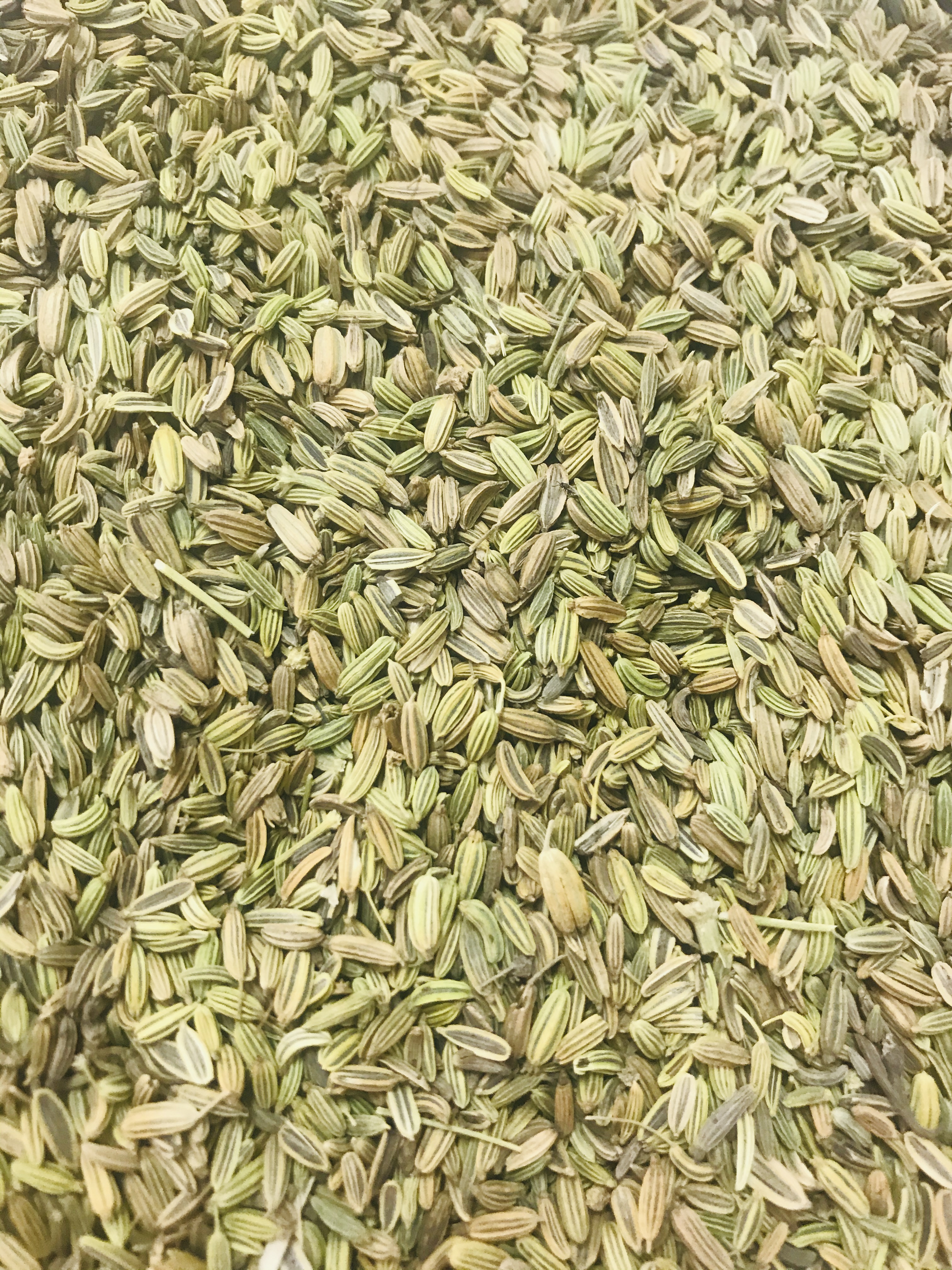 FENNEL SEEDS ,sweet，Organic/Rainforest alliance Certified