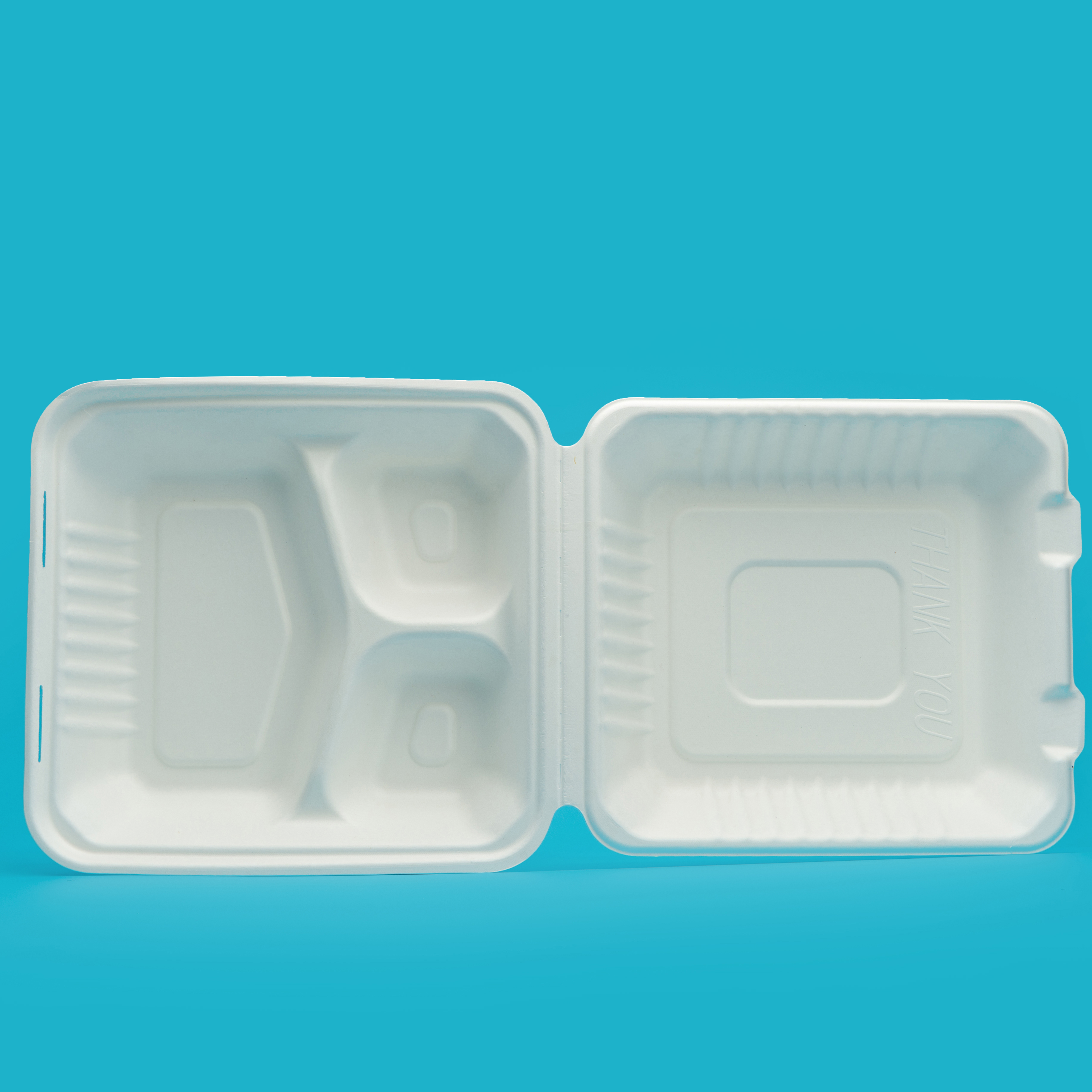 Deep 8 inch 3 compt. clamshell