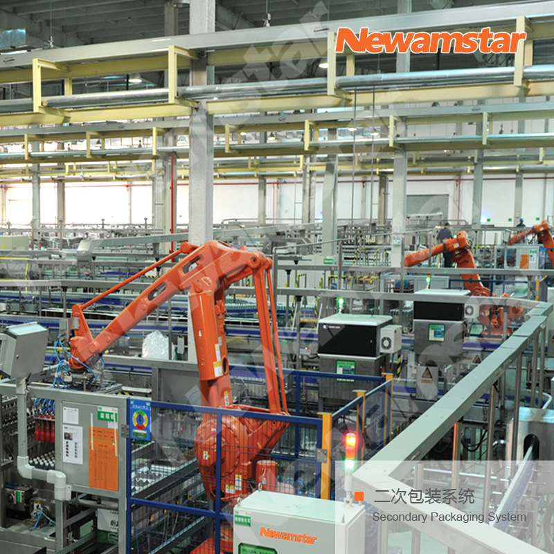 Secondary Packaging System