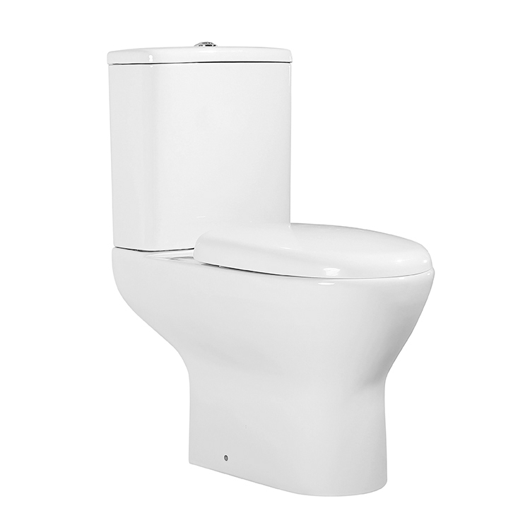 LR-C605 Wash Down Two Piece Ceramic Toilet