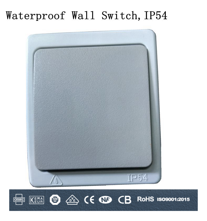 Wall switch