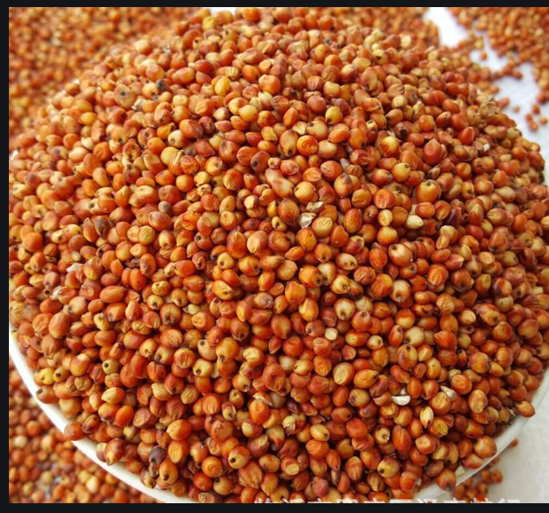 Guizhou Healthy Diet Co., Ltd – kidney bean 3