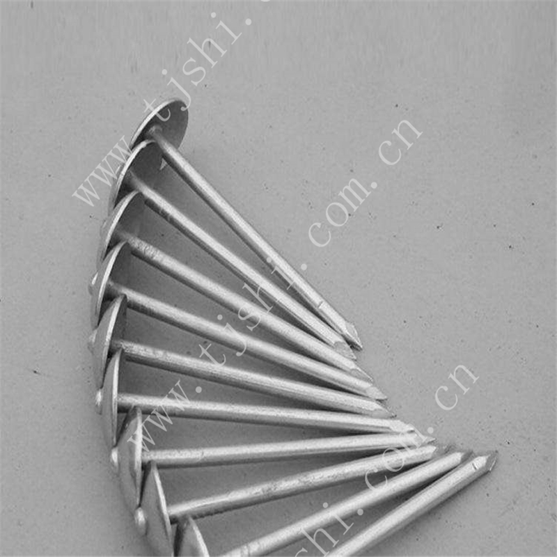 Umbrella Head Roofing Nails