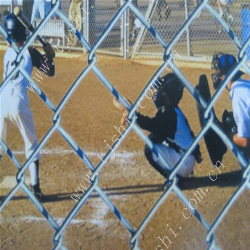 Chain Link Fence