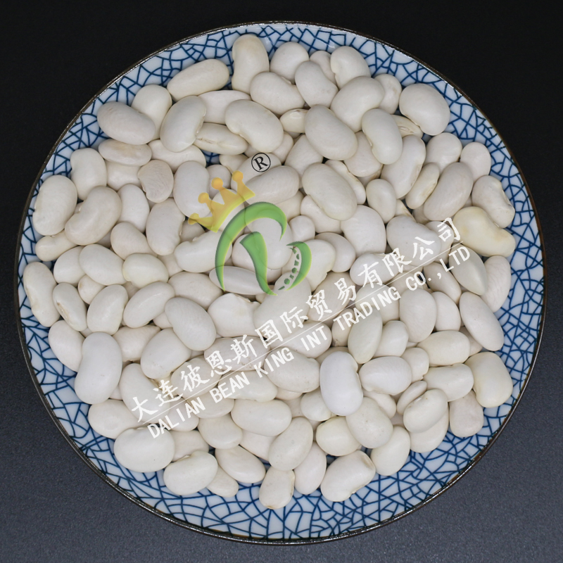 Large White Kidney Beans
