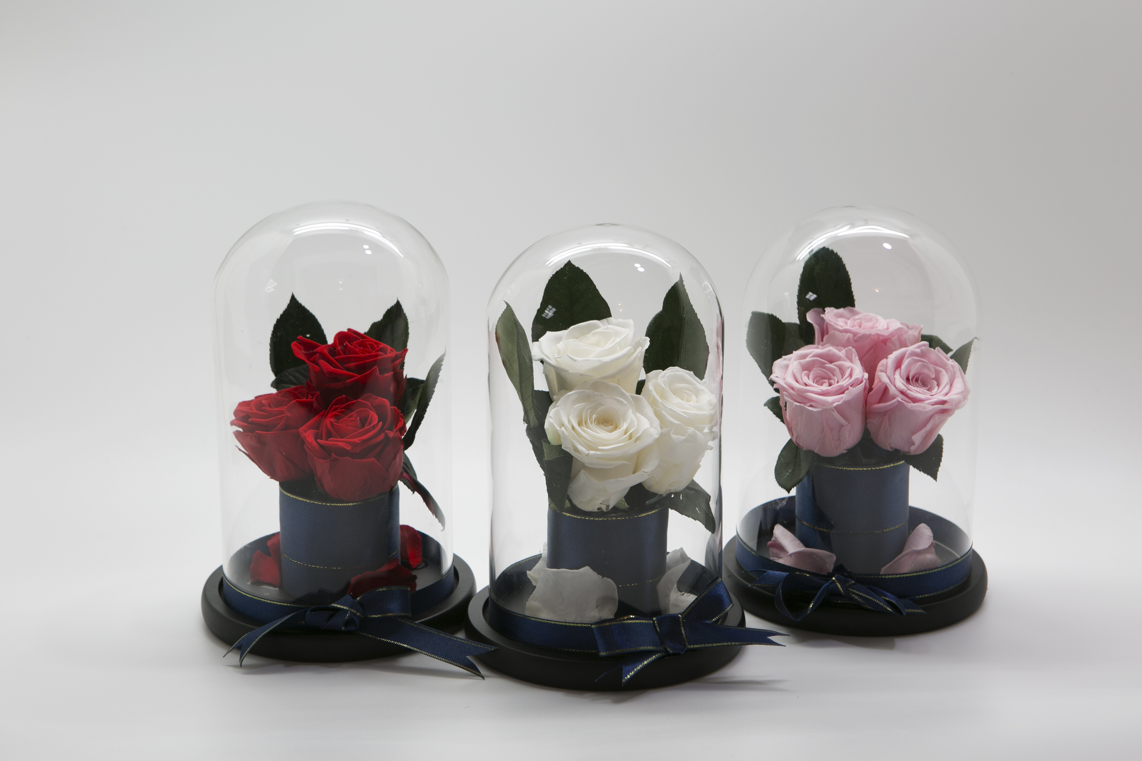 Preserved Fresh Flower