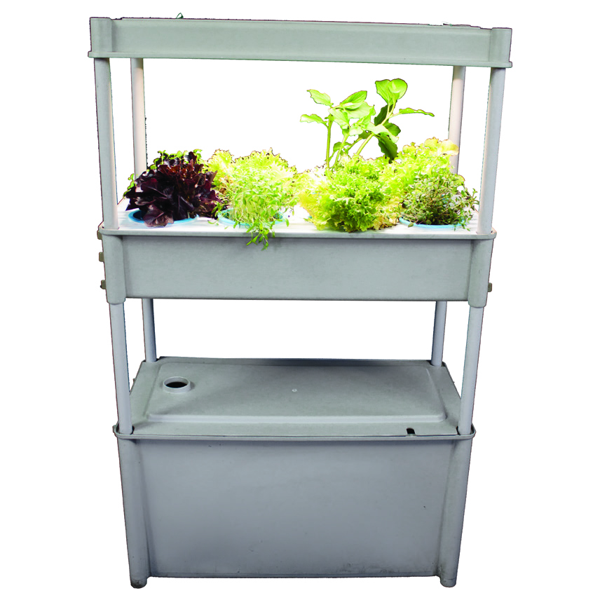 Salad Box with Tank and Light