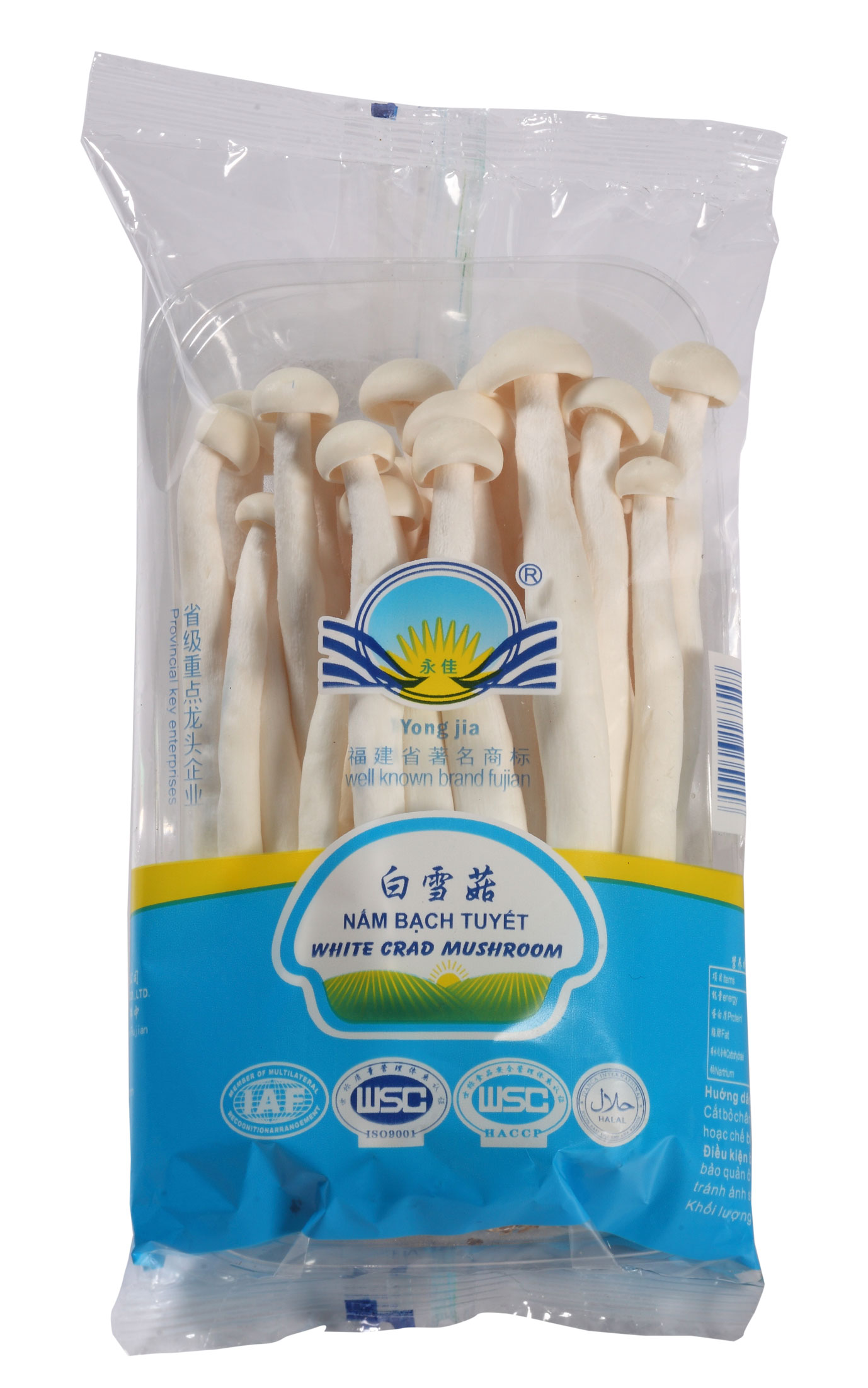 White Snow Mushroom