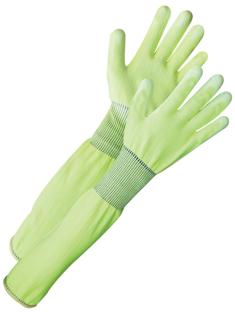 glove