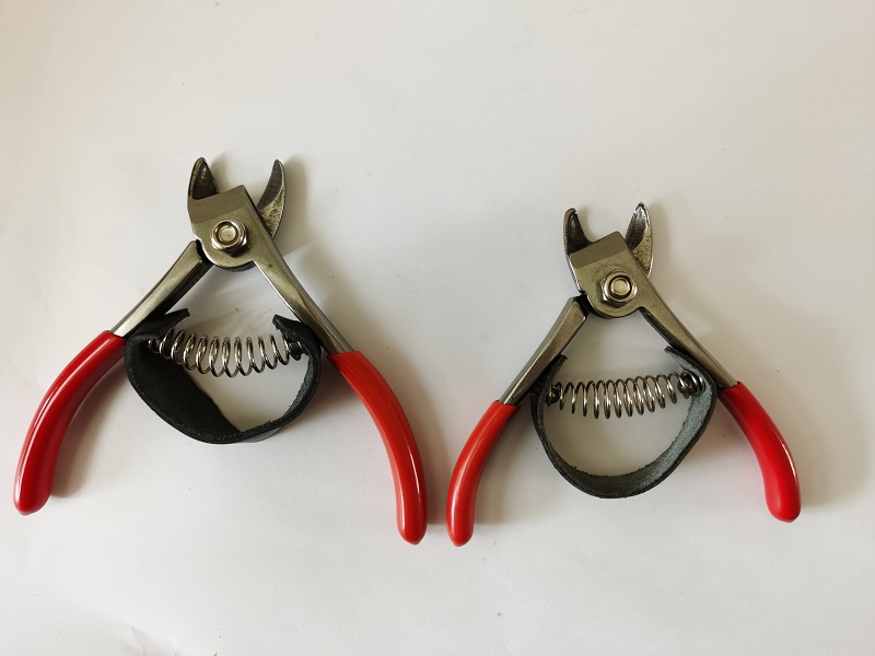 Whole-piece Drop Forged Fruit Picking Scissors