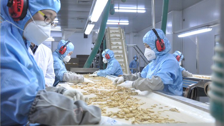 Shengshi Baicao Pharmaceutical Co., Ltd. – Korean ginseng 2