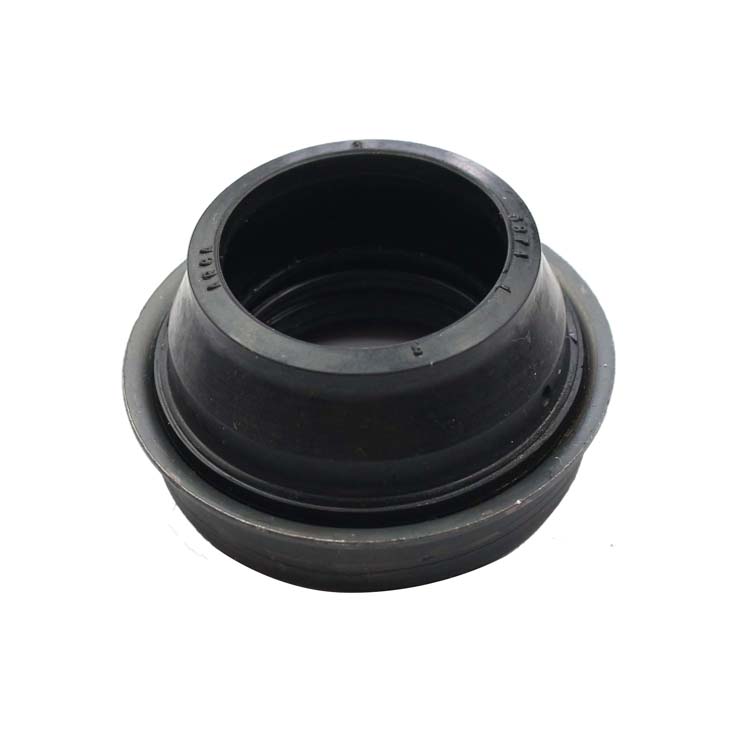 Oil seal