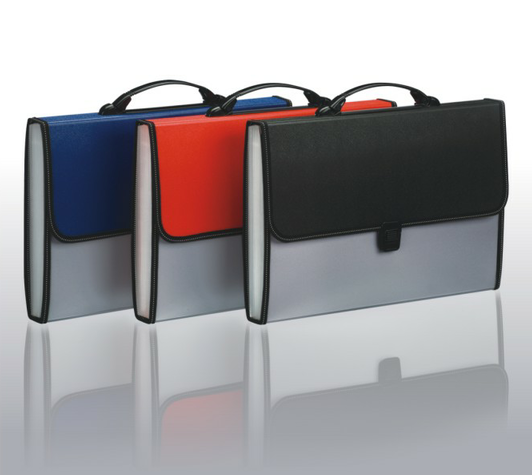 Divine Portable Expanding File