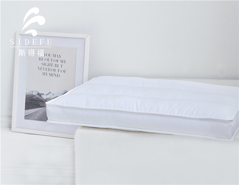 Health Care Microfiber Pillow