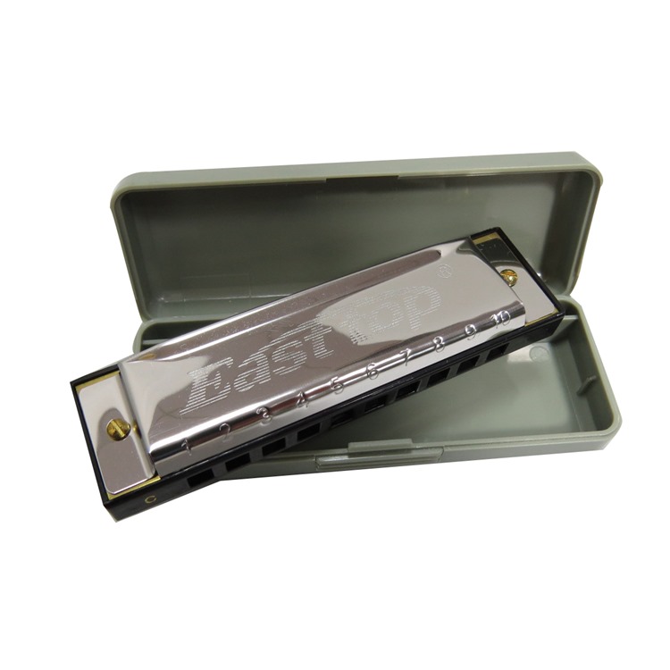 10 hole brass reed plate metal study harmonica