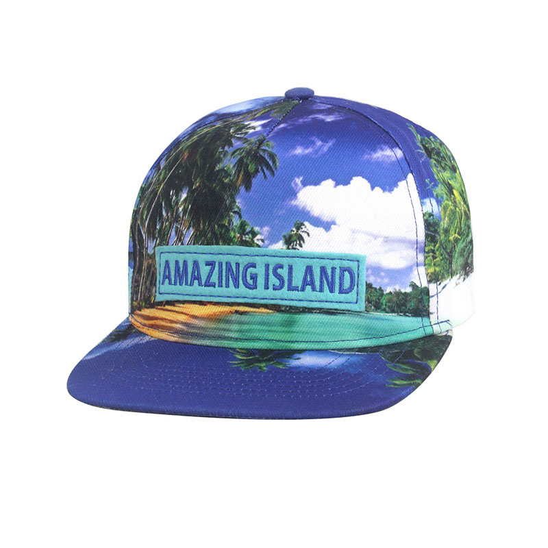 High quality fashion profession Sports baseball snap cap