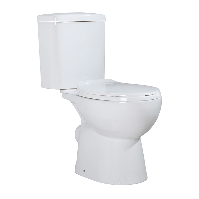 C630 LORY Wash Down Close Coupled Toilet