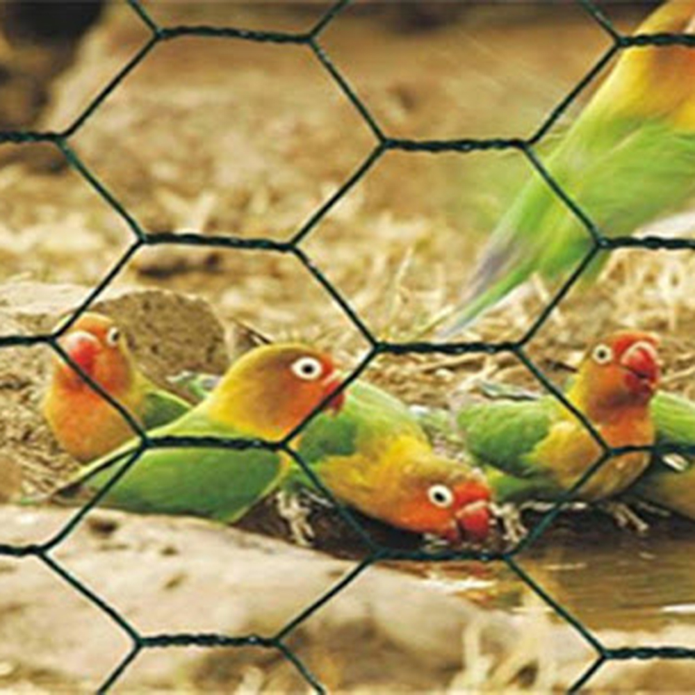 Chicken Wire Wire Mesh Wire Netting