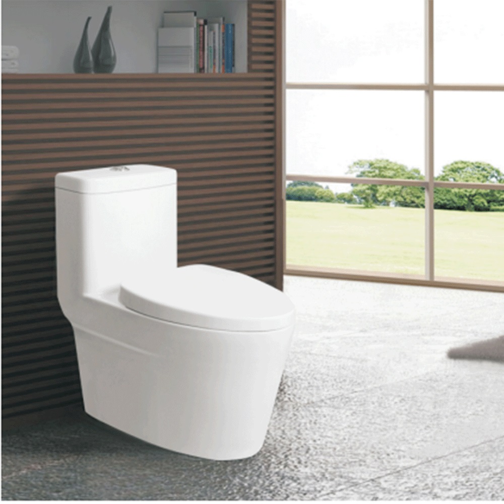Toilets T-E8328-WS