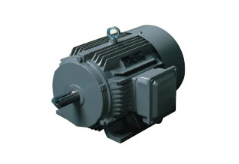 Ye3 Series High-Efficiency Induction Motor (Ie3)