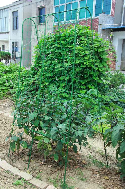 U -tunnel pipe (U-HOOP)