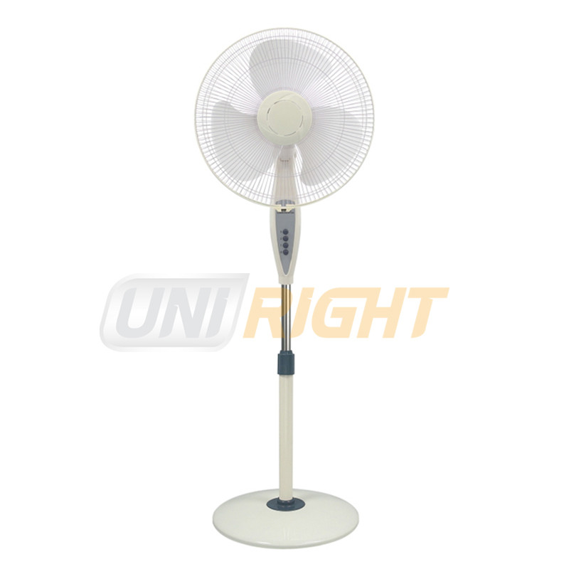 Stand Fan