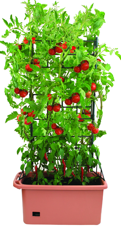 Mobile Vege Patch