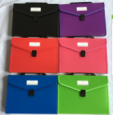 A4 / FC sunroof organ bag