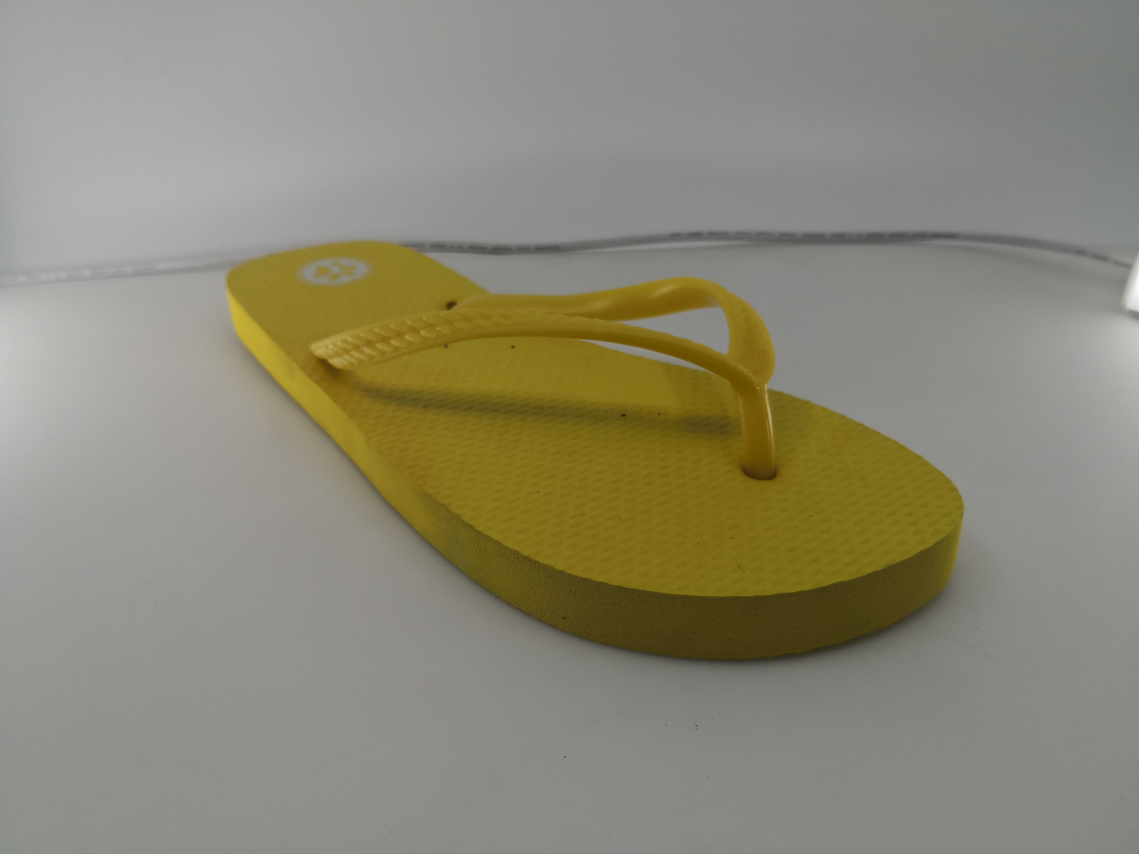 Flip Flop