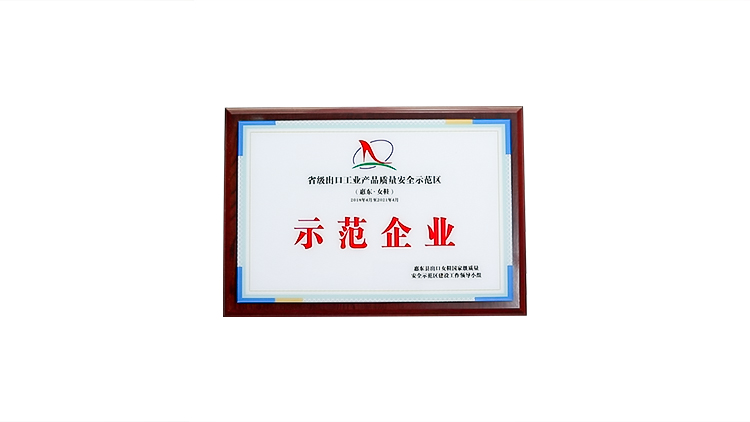 Huizhou Xinaoqi Shoe Industry Co., Ltd. – Other women's shoes 1