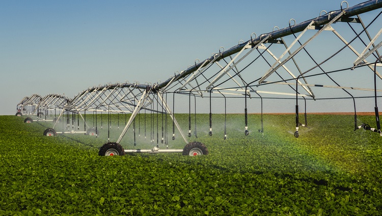 Dalian Xixing International Trading Co., Ltd. – Water conservancy 1