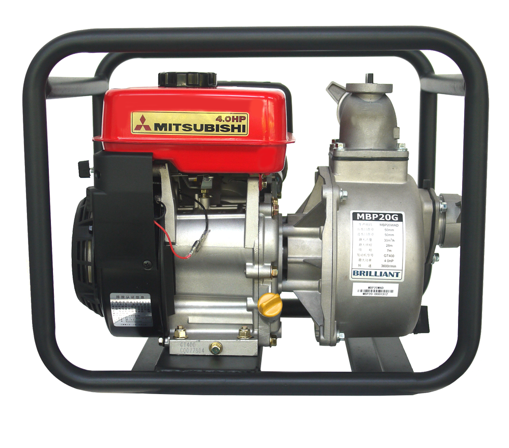 Gasoline engine pump