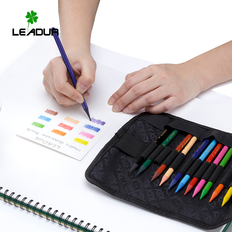 Professional painting Woodless Watercolor Pencil