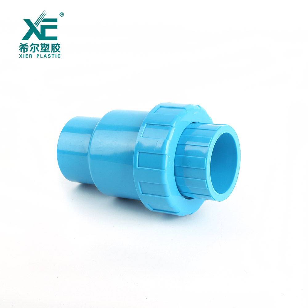 PVC New Check Valve