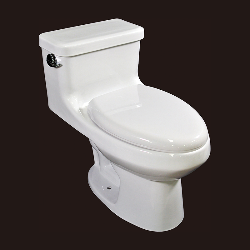 One Piece Toilet