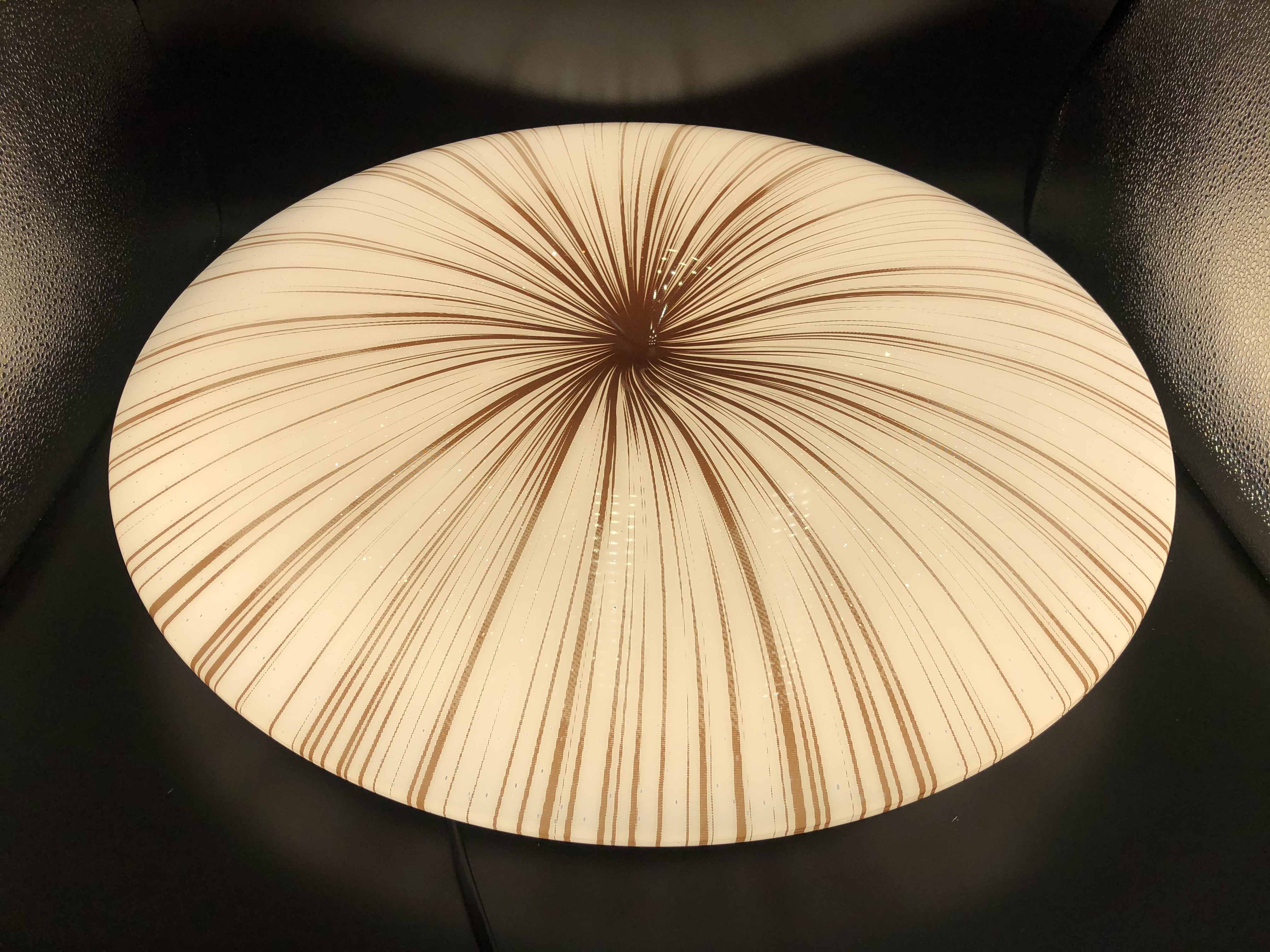 LED Ceiling Light