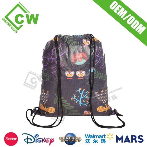 Tyvek drawstring bag