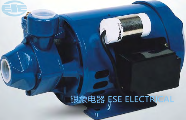 Cp Peripheral Water Pump